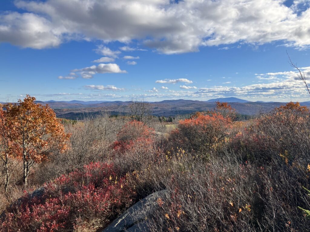 A view looking over low scrub and brush towards a large slightly pointy mountain (Monadnock) and a range of hills extending towards the left (East) from it. The land is autumn brown and rumbled in between the viewer and the mount.