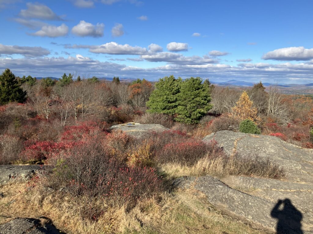 View looking over low outcrops, scrub and brush, and low evergreen, birch, and oak trees. The shadow of the photographer is cast upon the ground. In the distance between two ow trees rises the distinct summit of Mount Kearsarge in central New Hamspshire. A line of bright white wind turbines can be seen dotting a distant ridge on the lefthand side of the photo.