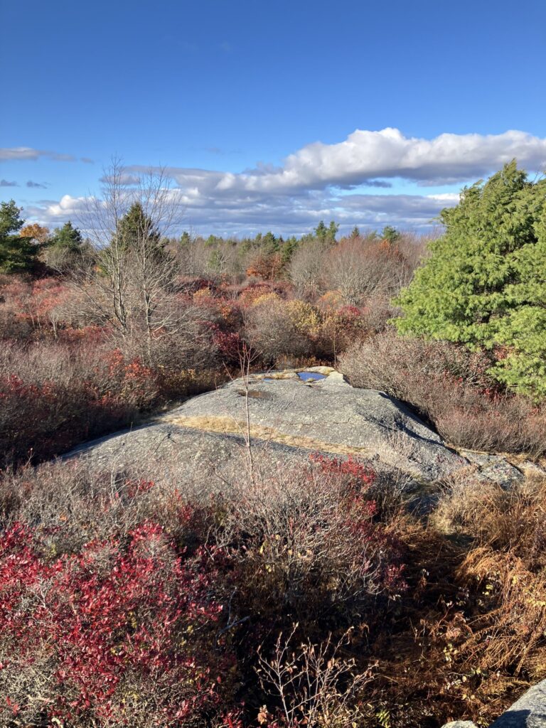 A photo looking at one of the many low hummocky bedrock outcrops on the summit, a small and intense blue puddle of water, almost like a mini-pond, about 1/2 meter in diameter, with grass around its sides, is developed in the center of the outcrop.